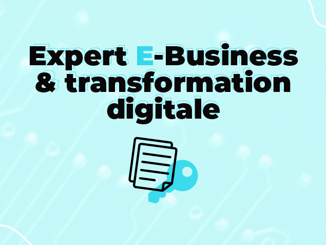 Digital School of Paris Bac +5 : Expert e-Business & Transformation Digitale