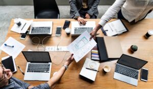 professionnels du Web