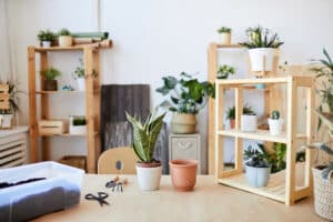 logement étudiant (1)