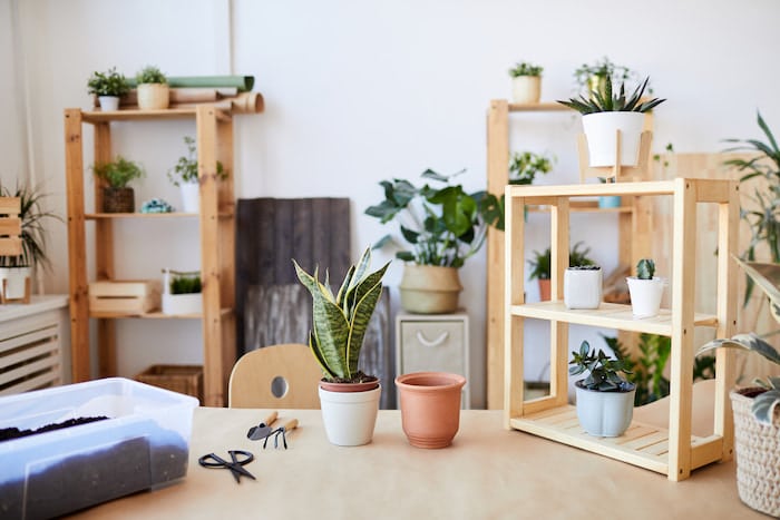 logement étudiant (1)