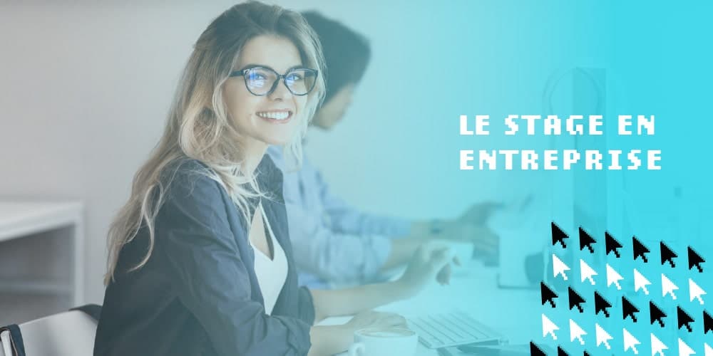Le stage en entreprise un élément incontournable des études supérieures