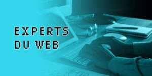 Les-experts-du-Web