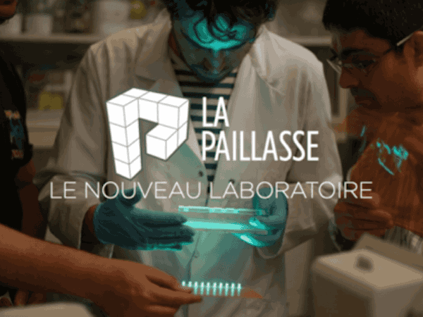 la paillasse